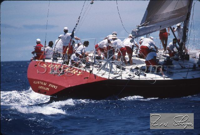 s0000115144.jpg