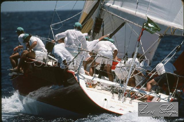 s0000115168.jpg