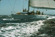 s0000119115