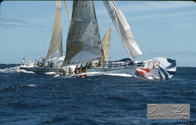 s0000120135.jpg