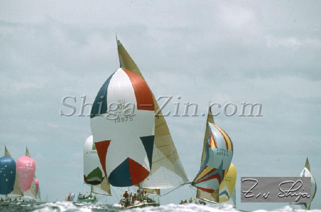 s0000122147.jpg