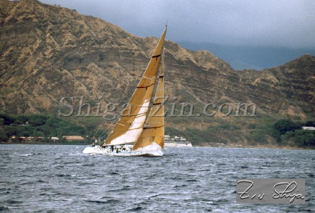 s0000127119.jpg