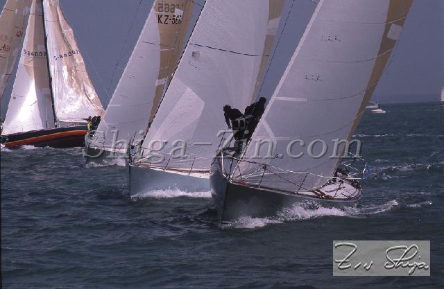 c0000593135.jpg