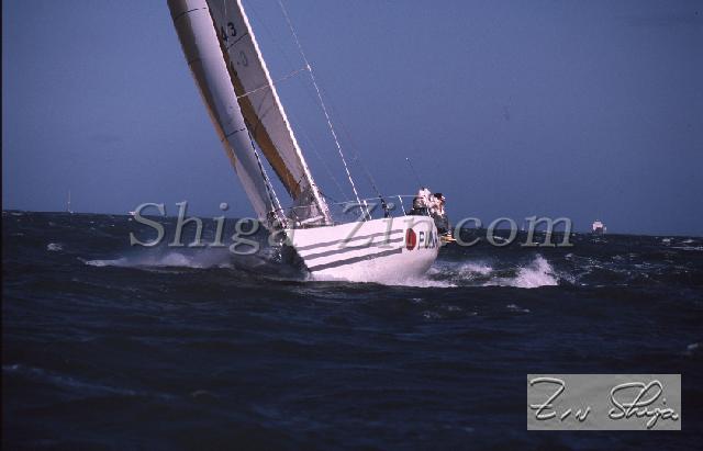 c0000599146.jpg