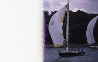 c0000600135