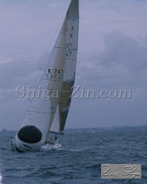 c0000610101.jpg