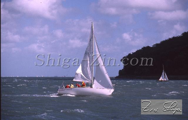 c0000613156.jpg