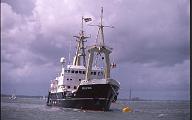 c0000613153