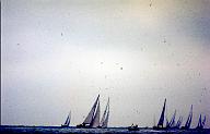C0000666105