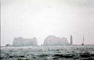 C0000666106