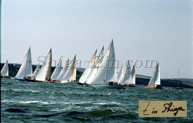 c0000016022.jpg