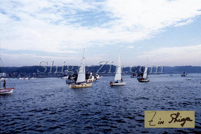 c0000268128.jpg