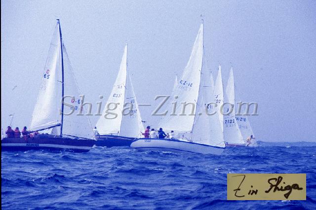 c0000268226.jpg