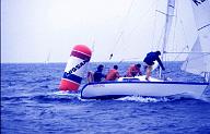 c0000268243