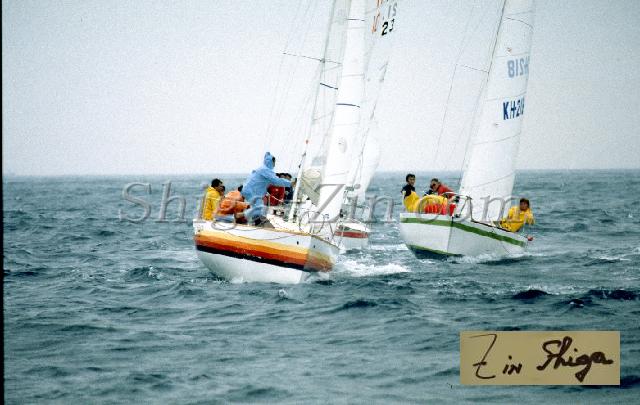 c0000271222.jpg