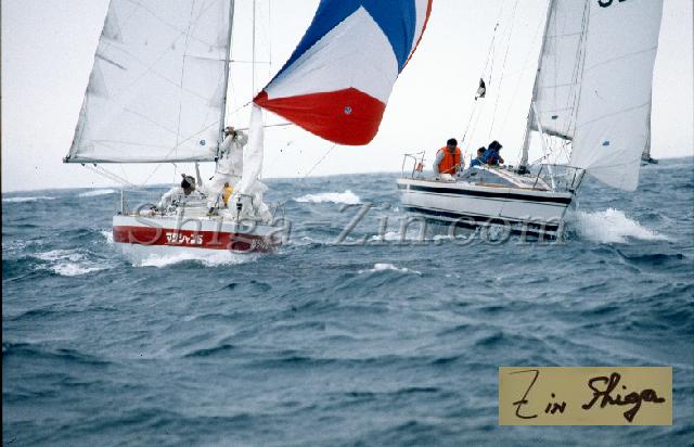 c0000271166.jpg