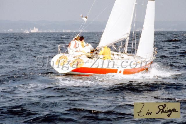 c0000273165.jpg