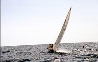 c0000273143