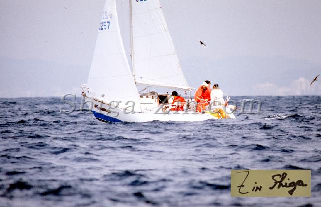 c0000274115.jpg