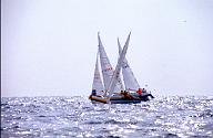 c0000274113