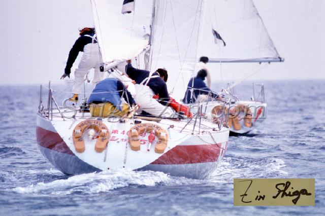 c0000275104.jpg