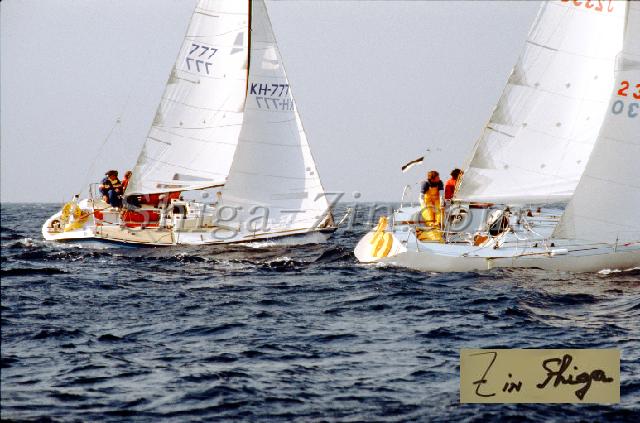 c0000276142.jpg