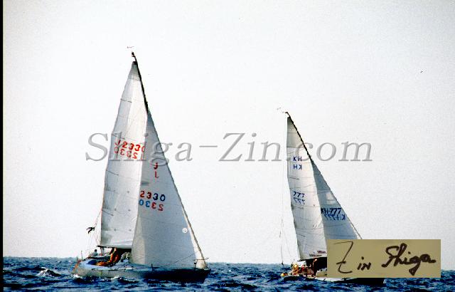 c0000279135.jpg