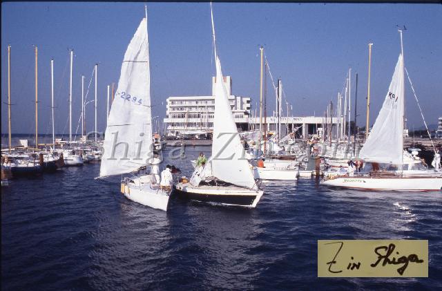 c0000281202.jpg