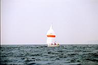 c0000281169