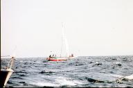 c0000282132