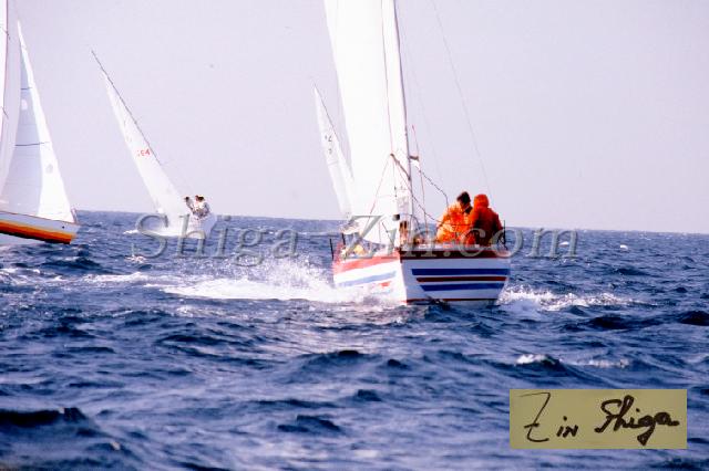 c0000283104.jpg