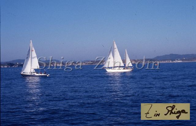 c0000305116.jpg