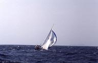 c0000307156