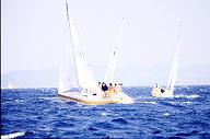 c0000314131