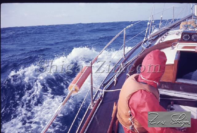 c0000315142.jpg