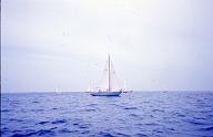 c0000316110