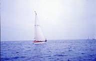 c0000316113