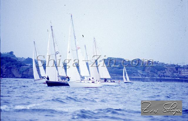 c0000317117.jpg