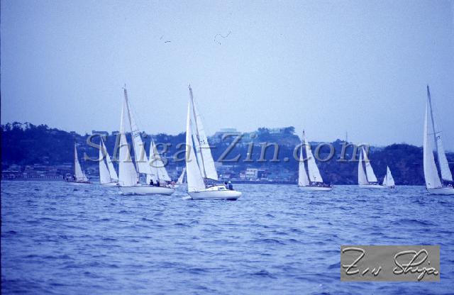 c0000317129.jpg