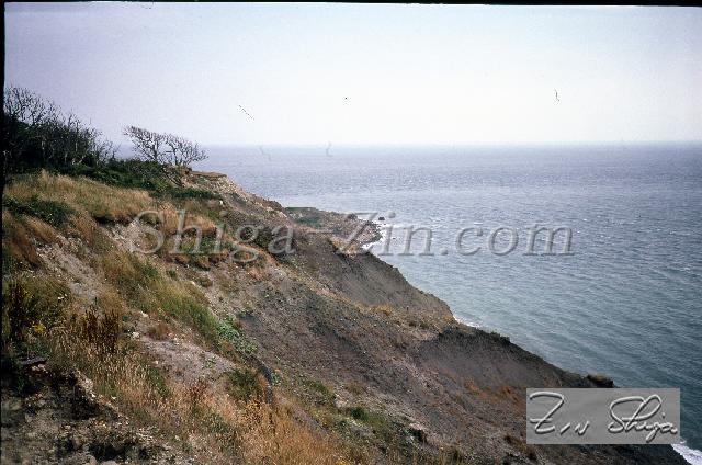 c0000713111.jpg