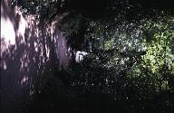 c0000713103