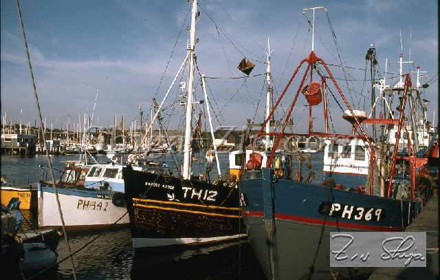 c0000729213.jpg