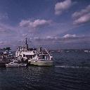 C0000594