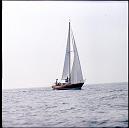 r0000039015