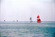 r0000049016
