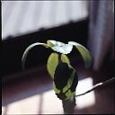 r0000053035