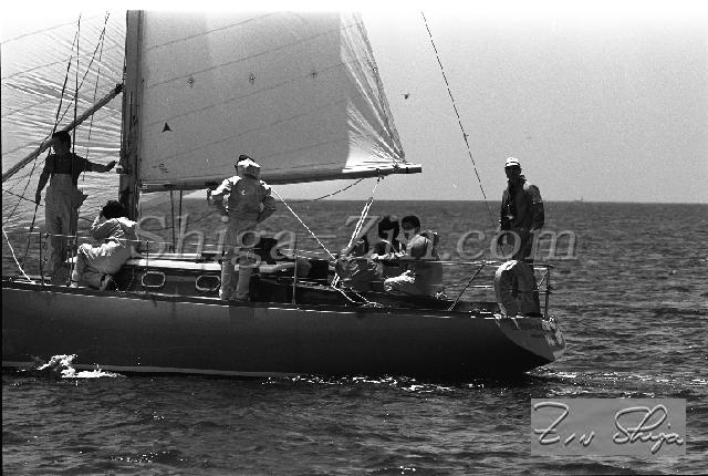 b0000253228.jpg