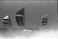 b0000253201