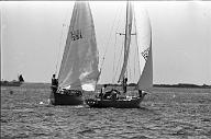 b0000253223
