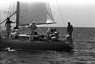 b0000253228